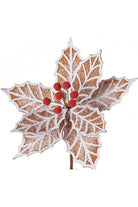 Shop For 21" Frosted Gingerbread Poinsettia Stem