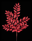 Shop For 21" Glitter Honey Locust Spray: Red