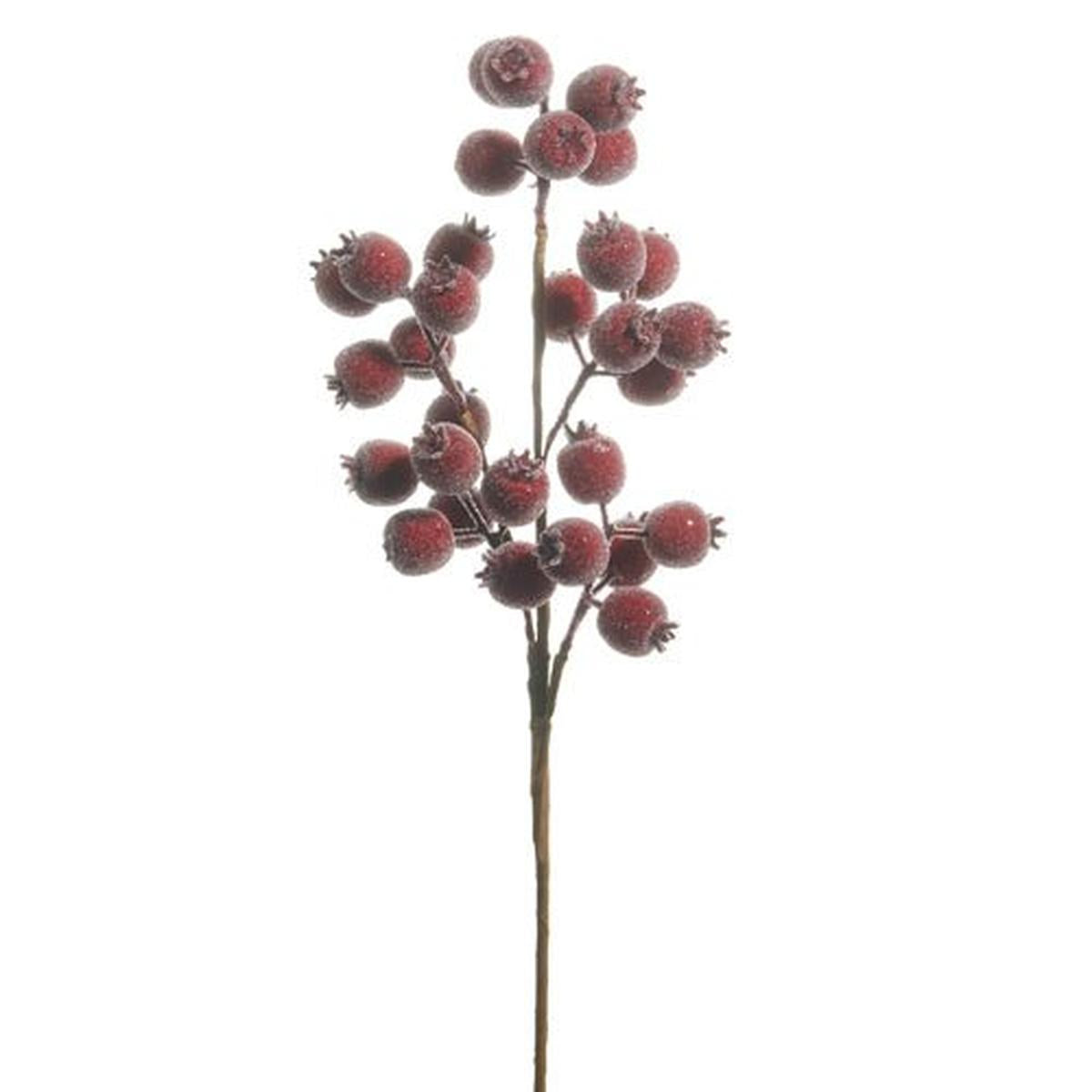 Shop For 21" Iced Burgundy Berry Pod Spray