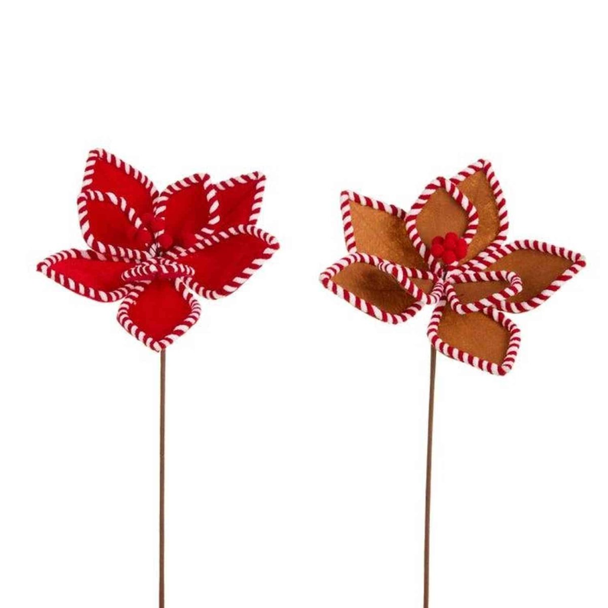 Shop For 21in Gingerbread and Peppermint Poinsettias