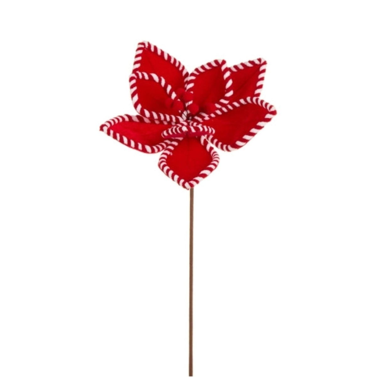 Shop For 21in Gingerbread and Peppermint Poinsettias