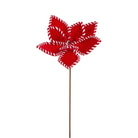 Shop For 21in Gingerbread and Peppermint Poinsettias
