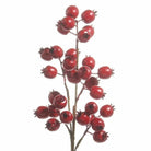 Shop For 21in Matte Red Berry Pod Spray