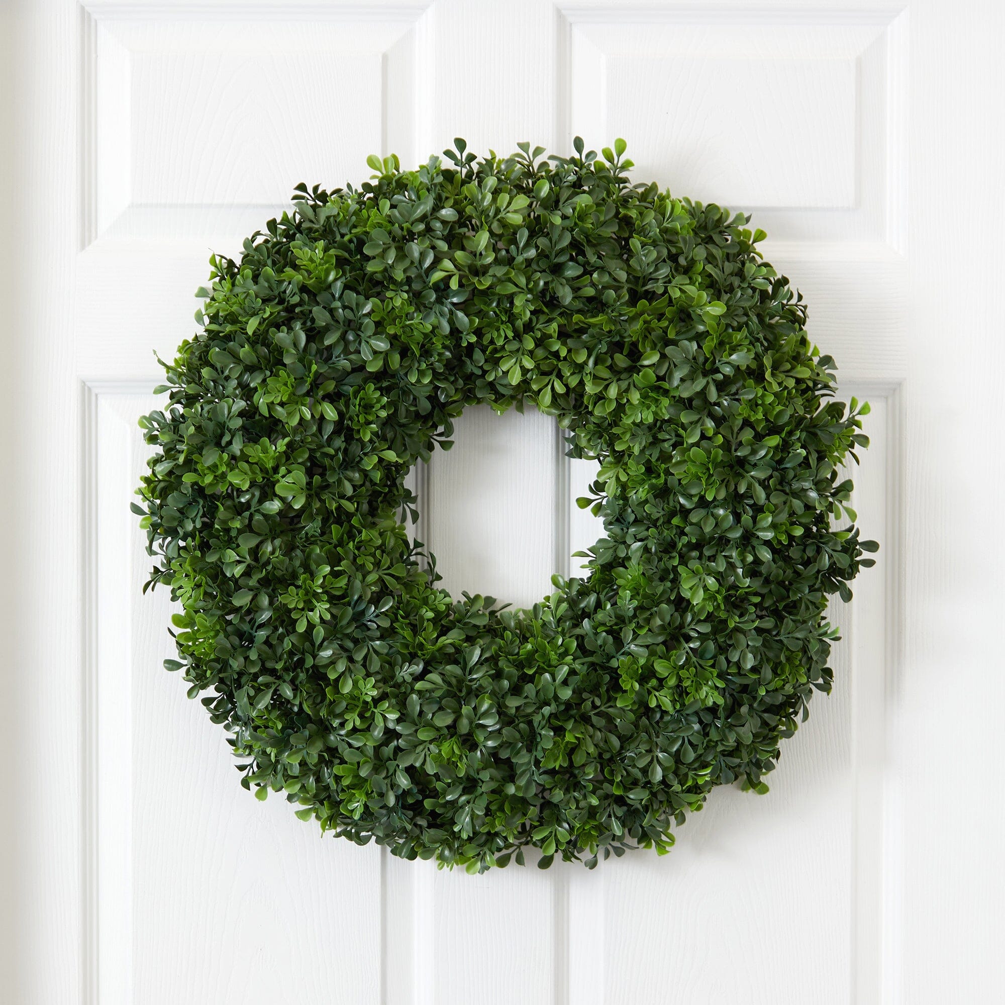 Shop For 22” Boxwood Wreath