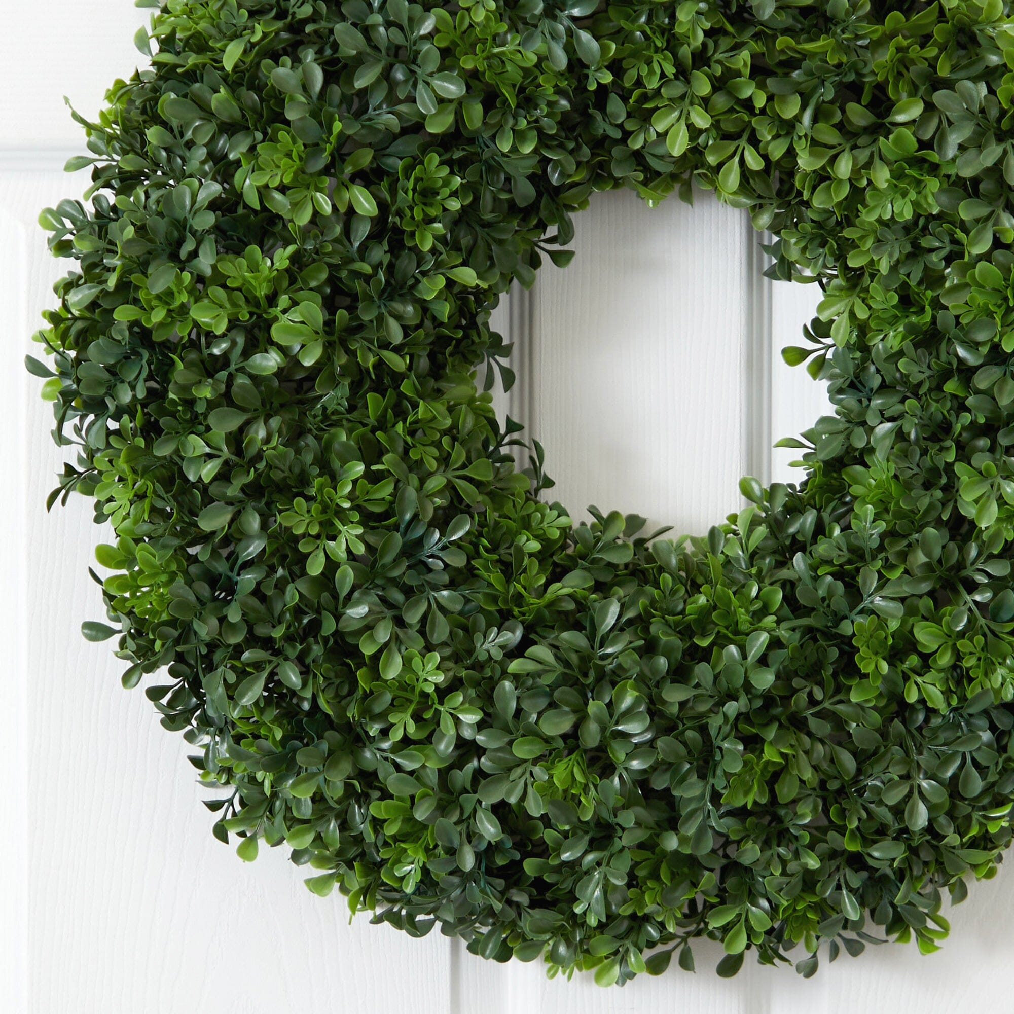 Shop For 22” Boxwood Wreath