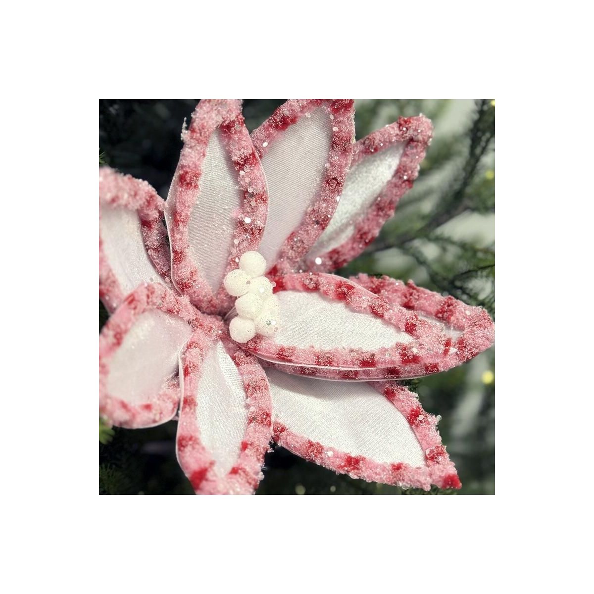 Shop For 22” Candy Snow Glitter Poinsettia Stem: White/Pink