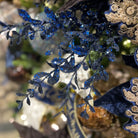 Shop For 22" Glitter Boxwood Spray: Midnight Blue