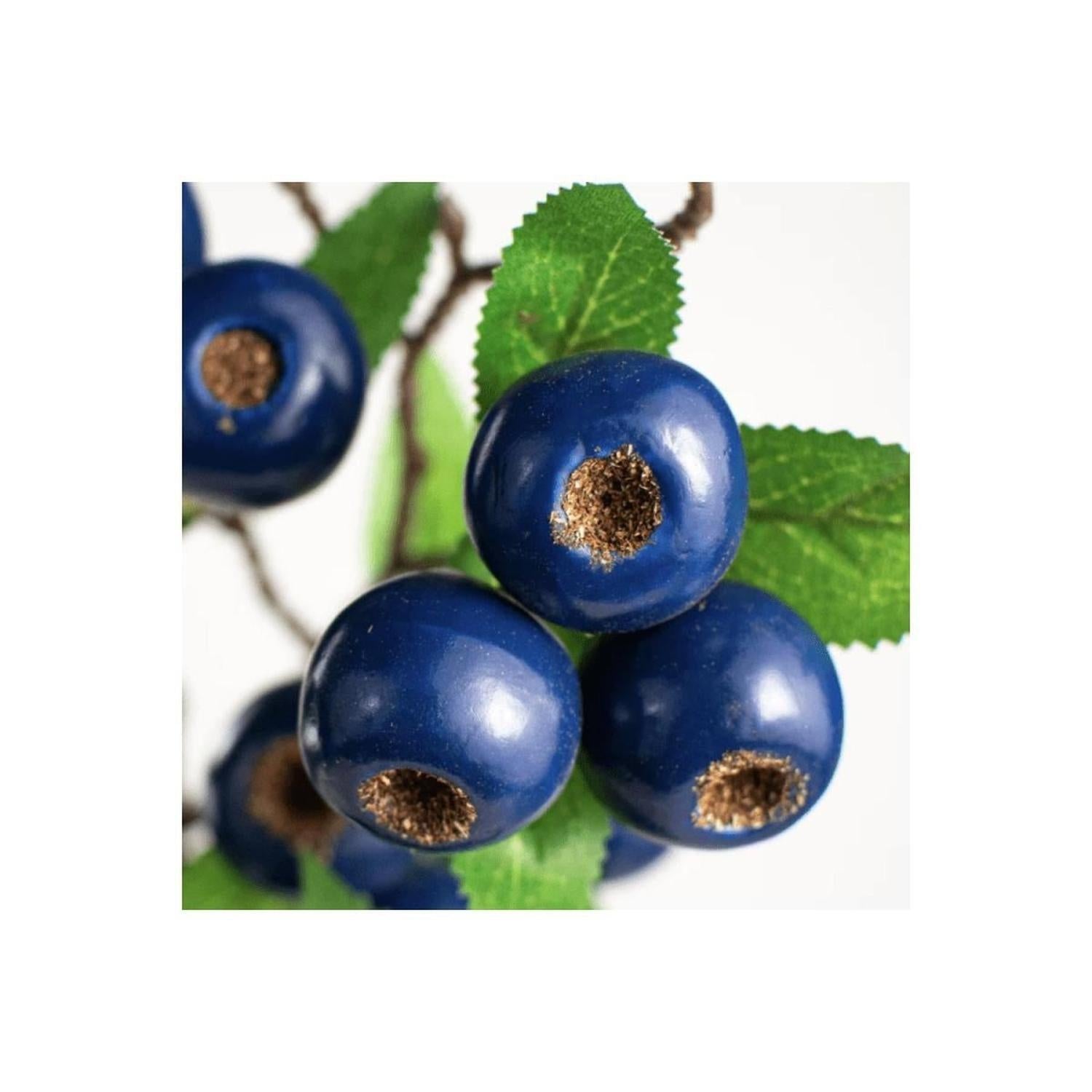 23" Blueberry Spray