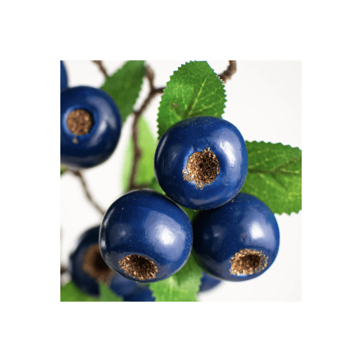 Shop For 23" Blueberry Spray