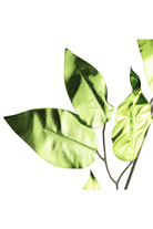 Shop For 23" Metallic Ficus Leaf Spray: Lime Green (Set of 12)