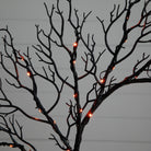 Shop For 23” Pre - Lit Halloween Black Fall Wreath