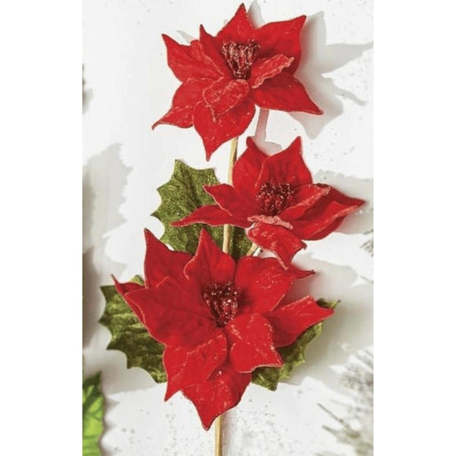 23" Triple Poinsettia Stem