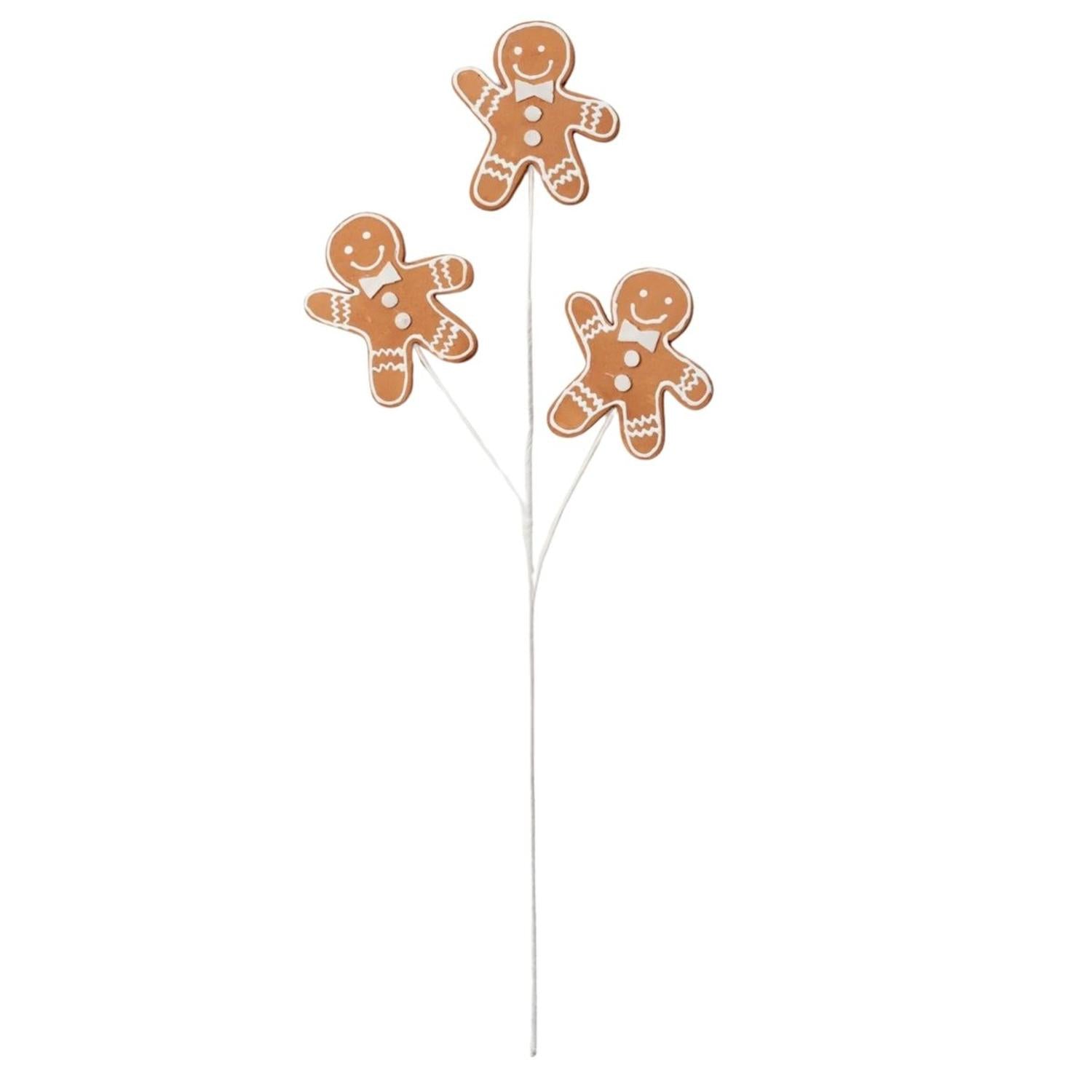 24" Gingerbread Cookie Spray