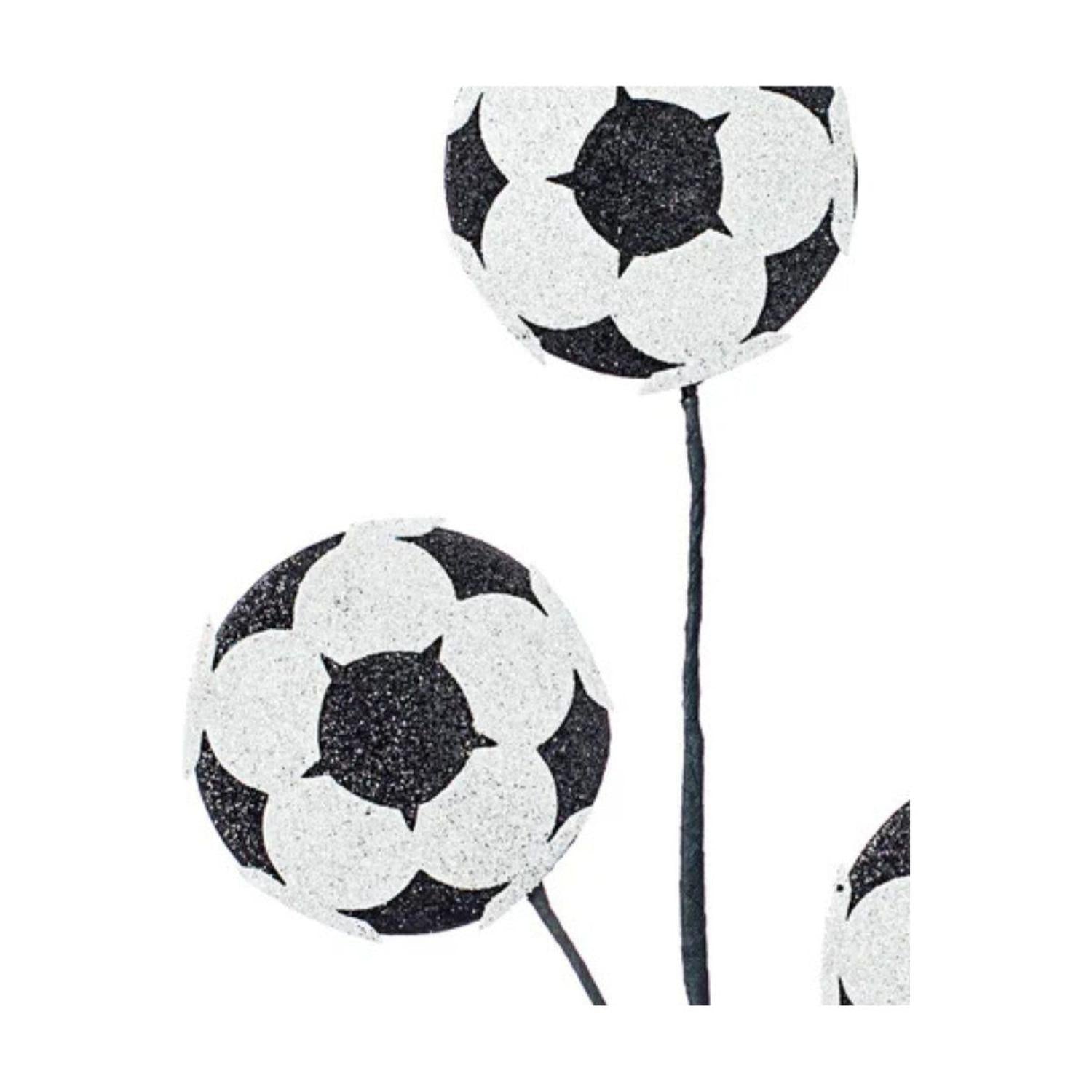 24" Glitter Soccer Ball Spray