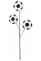 Shop For 24" Glitter Soccer Ball Spray