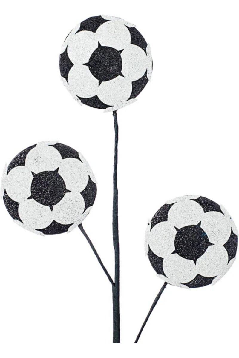 Shop For 24" Glitter Soccer Ball Spray