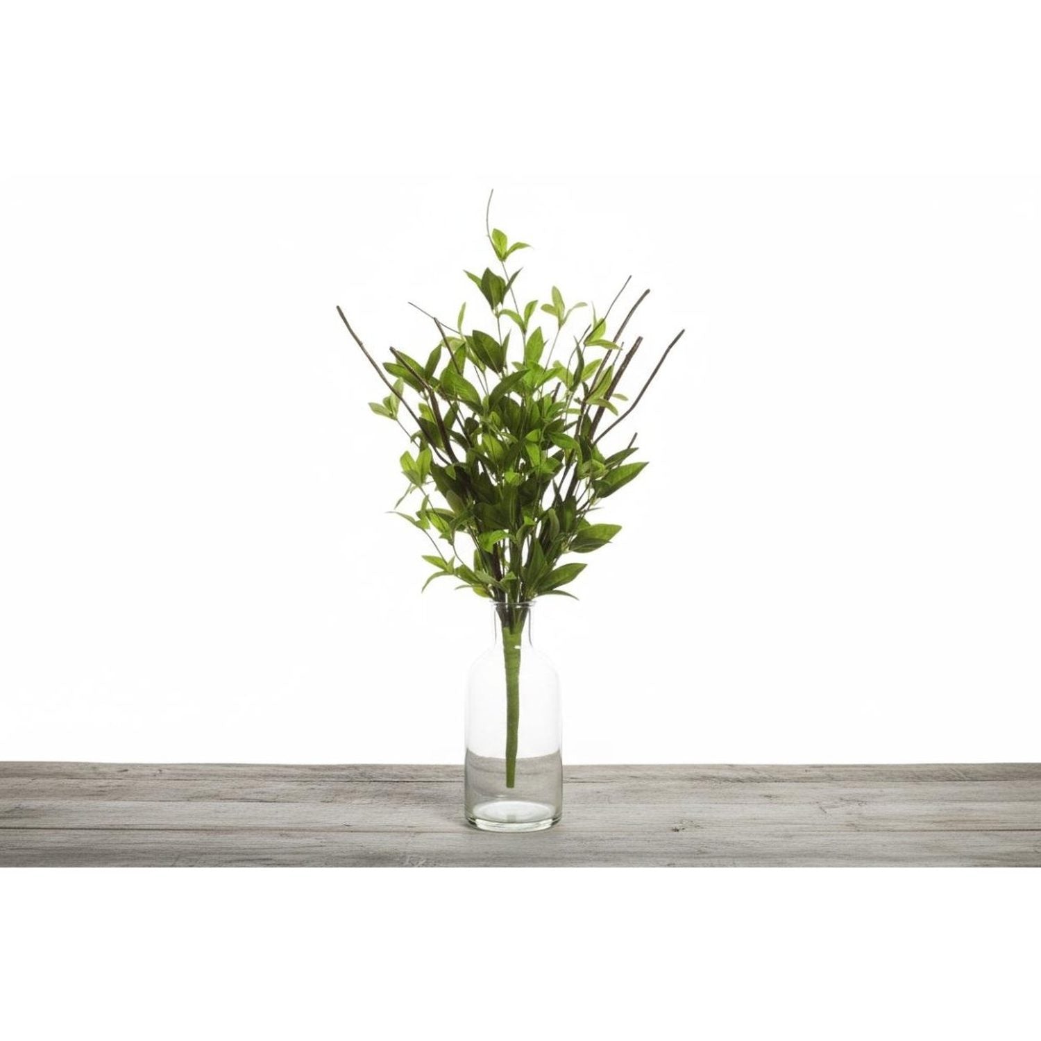 Shop For 24" Greenery Bush