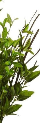 Shop For 24" Greenery Bush