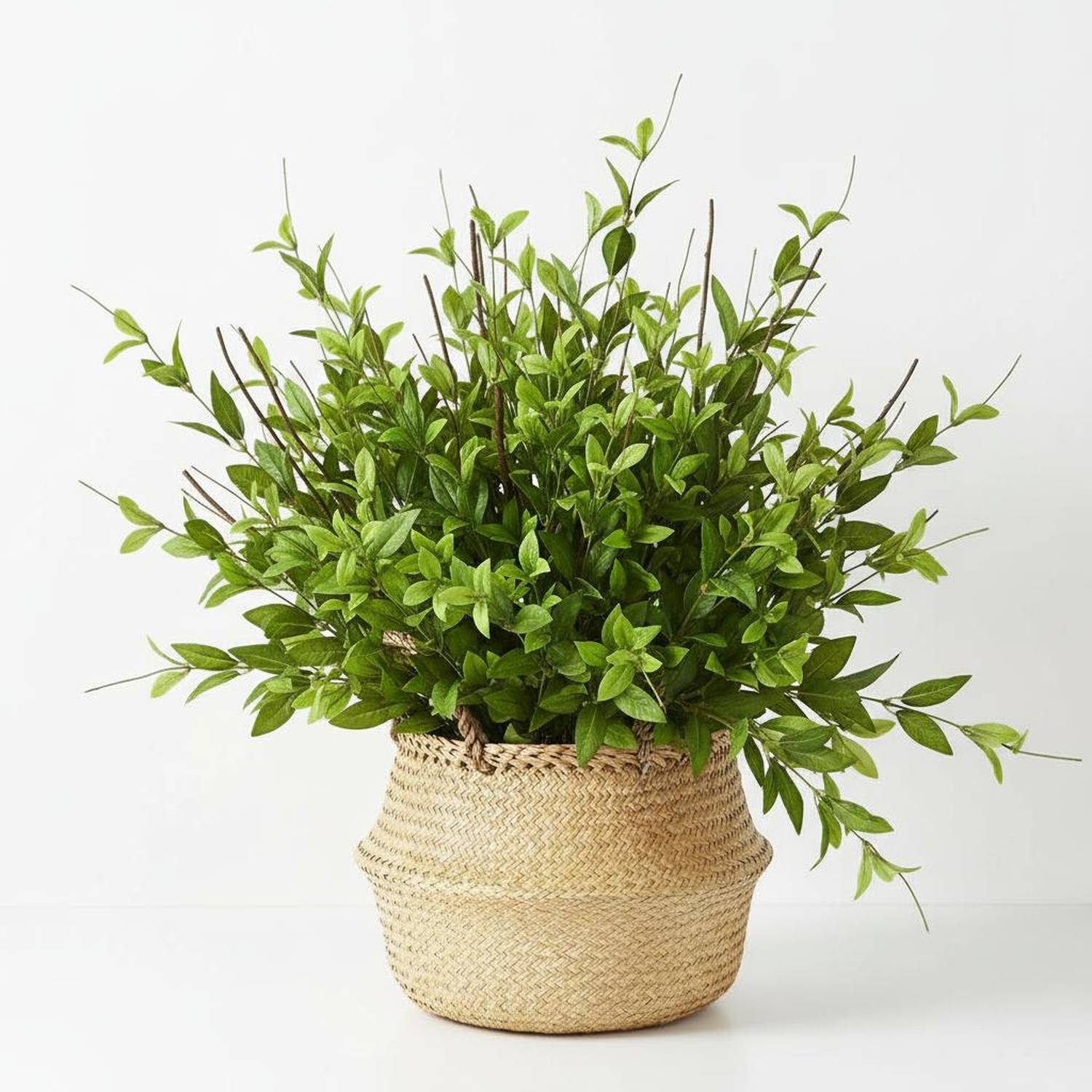 Shop For 24" Greenery Bush