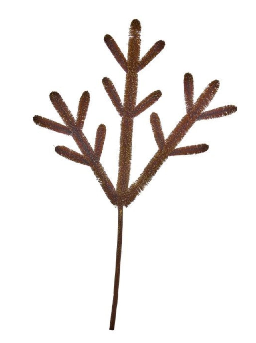 Shop For 24in Fiber Brown Antler Spray