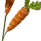 24in Frizzy Carrot Spray