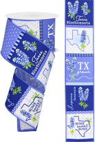 Shop For 2.5" Bluebonnets Block Ribbon: Blue (10 Yards) at Michelle's aDOORable Creations