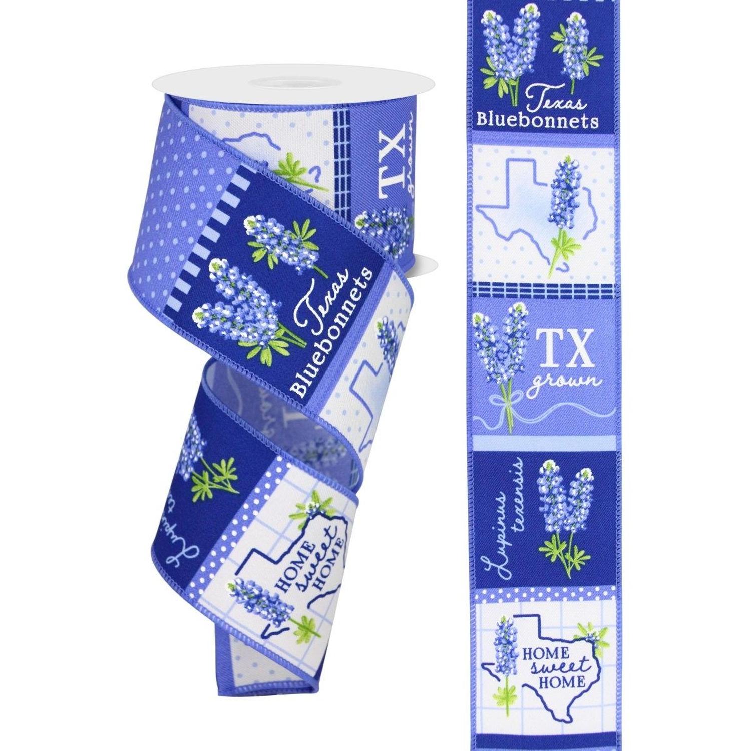 Shop For 2.5" Bluebonnets Block Ribbon: Blue (10 Yards) at Michelle's aDOORable Creations