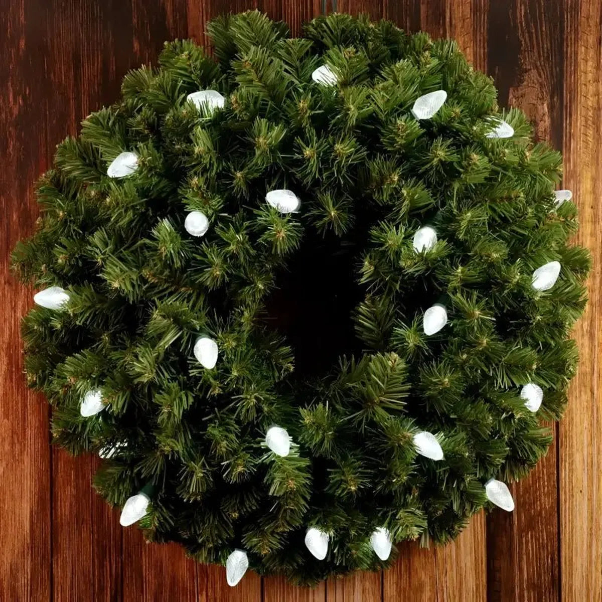 Shop For 25 C7 Cool White LED Christmas Lights, 8" Spacing