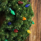 Shop For 25 C7 Multicolor LED Christmas Lights, 8" Spacing
