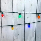Shop For 25 C7 Multicolor LED Christmas Lights, 8" Spacing