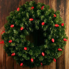 Shop For 25 C7 Red LED Christmas Lights, 8" Spacing