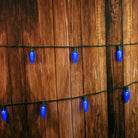 Shop For 25 C9 Blue LED Christmas Lights, 8" Spacing