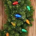 Shop For 25 C9 Multicolor LED Christmas Lights, 8" Spacing
