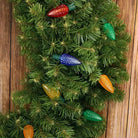 Shop For 25 C9 Multicolor LED Christmas Lights, 8" Spacing