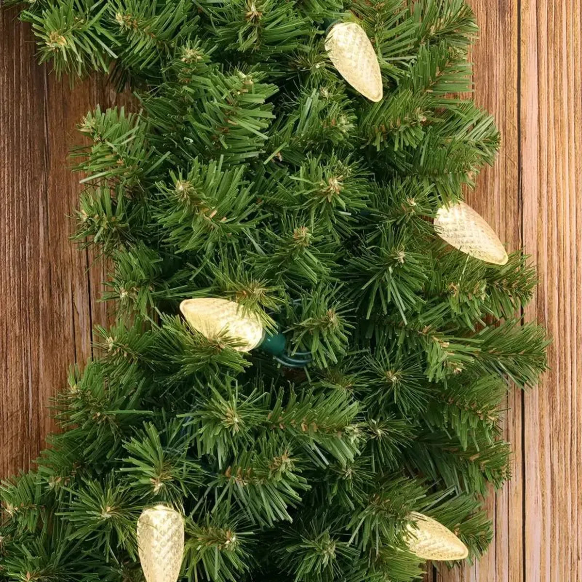 Shop For 25 C9 Warm White LED Christmas Lights, 8" Spacing