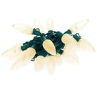 Shop For 25 C9 Warm White LED Christmas Lights, 8" Spacing