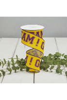 Shop For 2.5" Go Team Ribbon: Purple & Yellow (10 Yards) at Michelle's aDOORable Creations