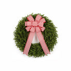 Shop For 2.5" Vertical Stripe Ribbon: Red (10 Yards)