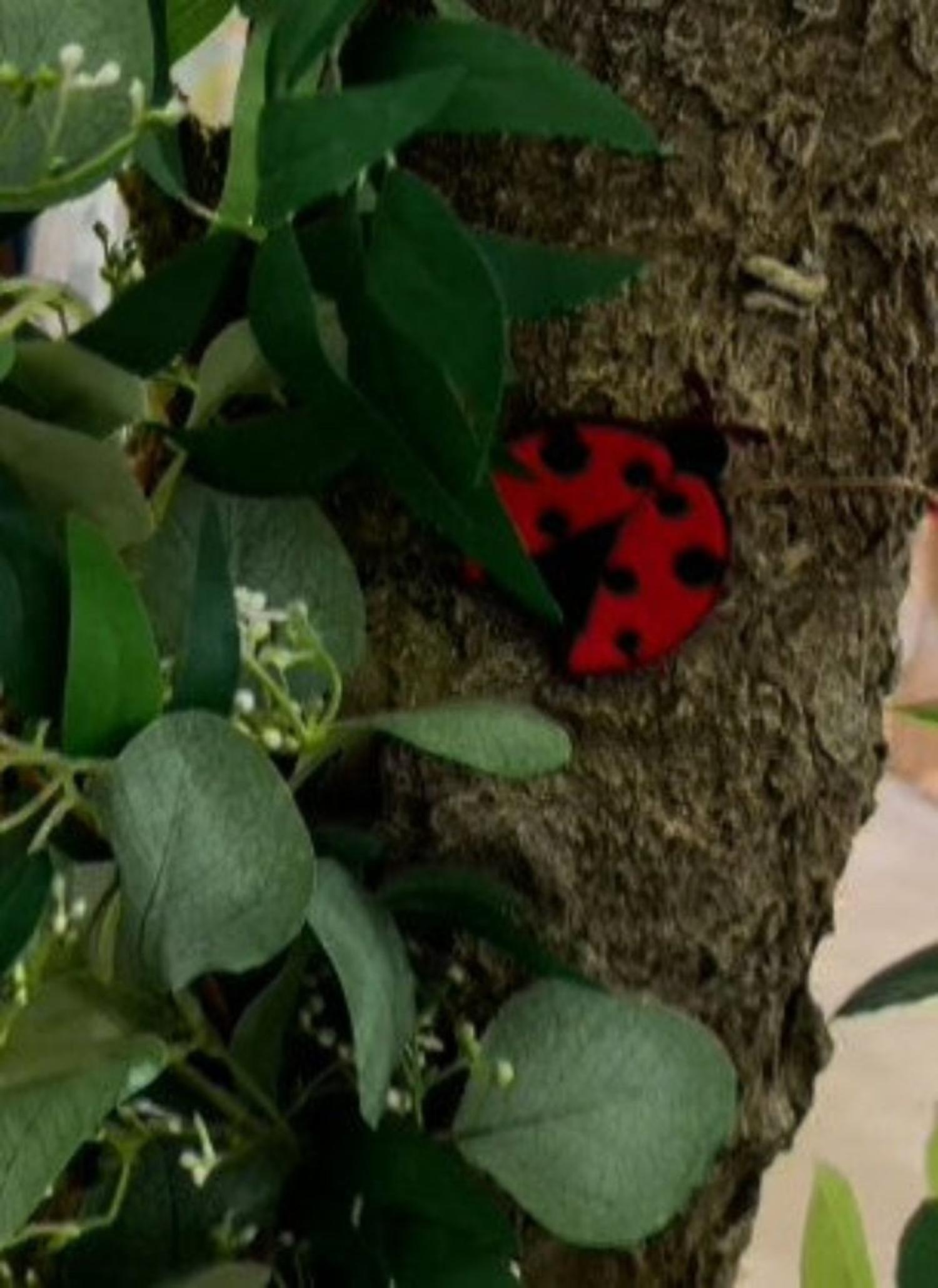 2.5in Felt Embroidery Lady Bug Garland (5 Yards)