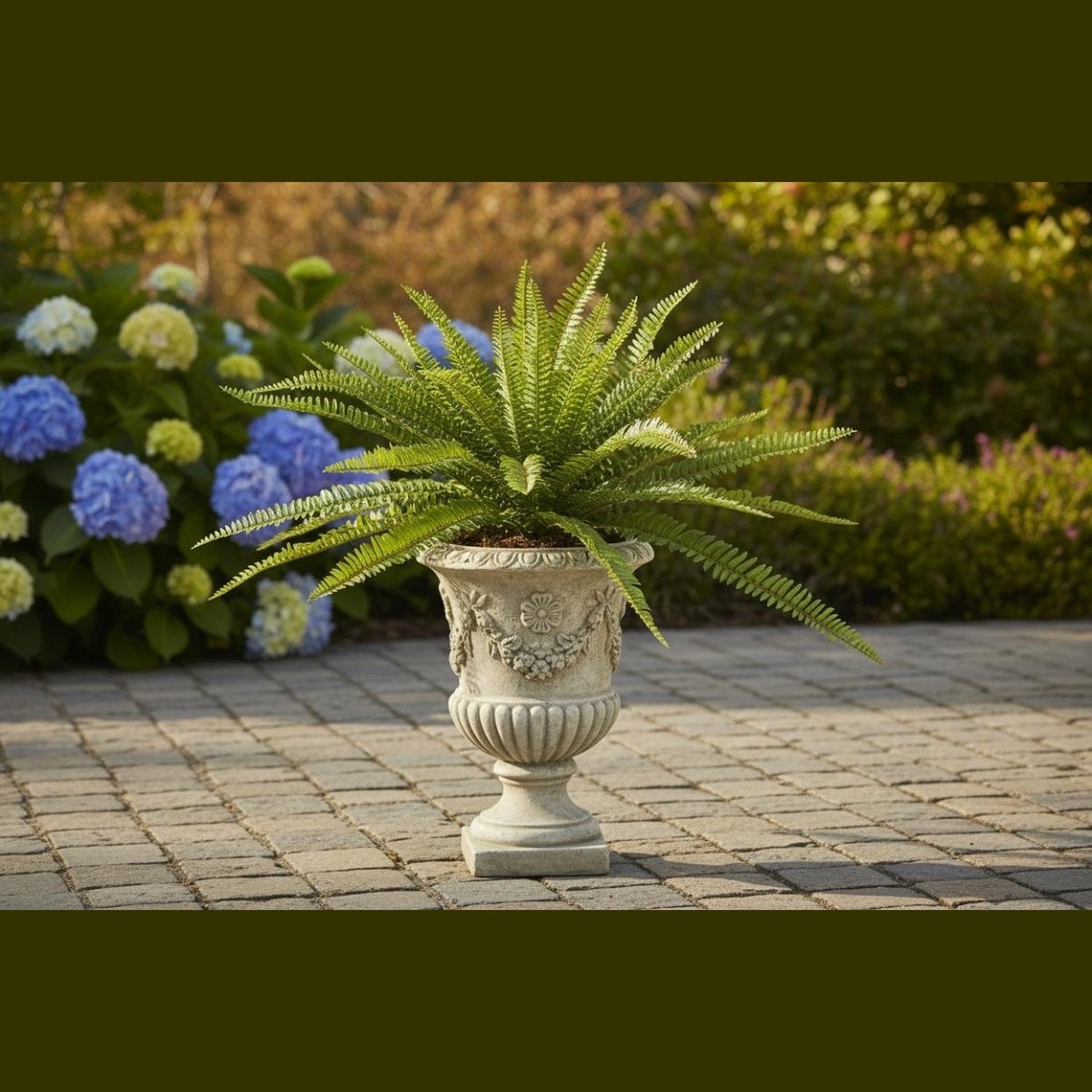 Shop For 26 Inch Fern Bush