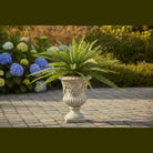 Shop For 26 Inch Fern Bush