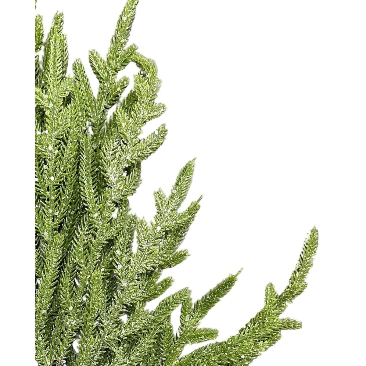 Shop For 26" Norfolk Pine Spray