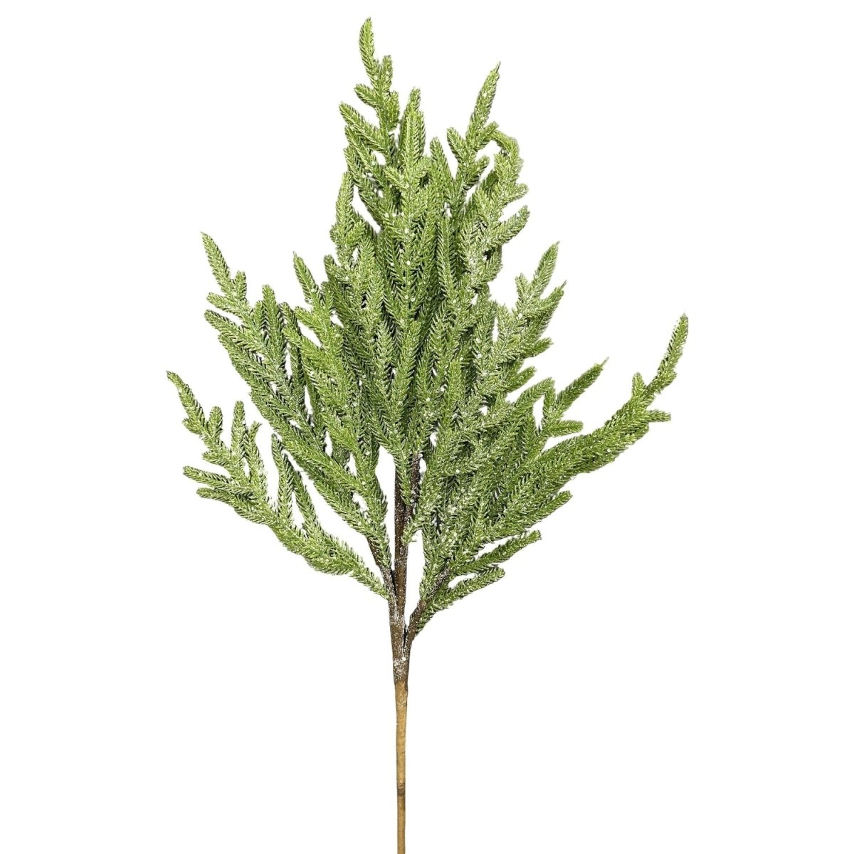 Shop For 26" Norfolk Pine Spray