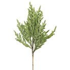 Shop For 26" Norfolk Pine Spray