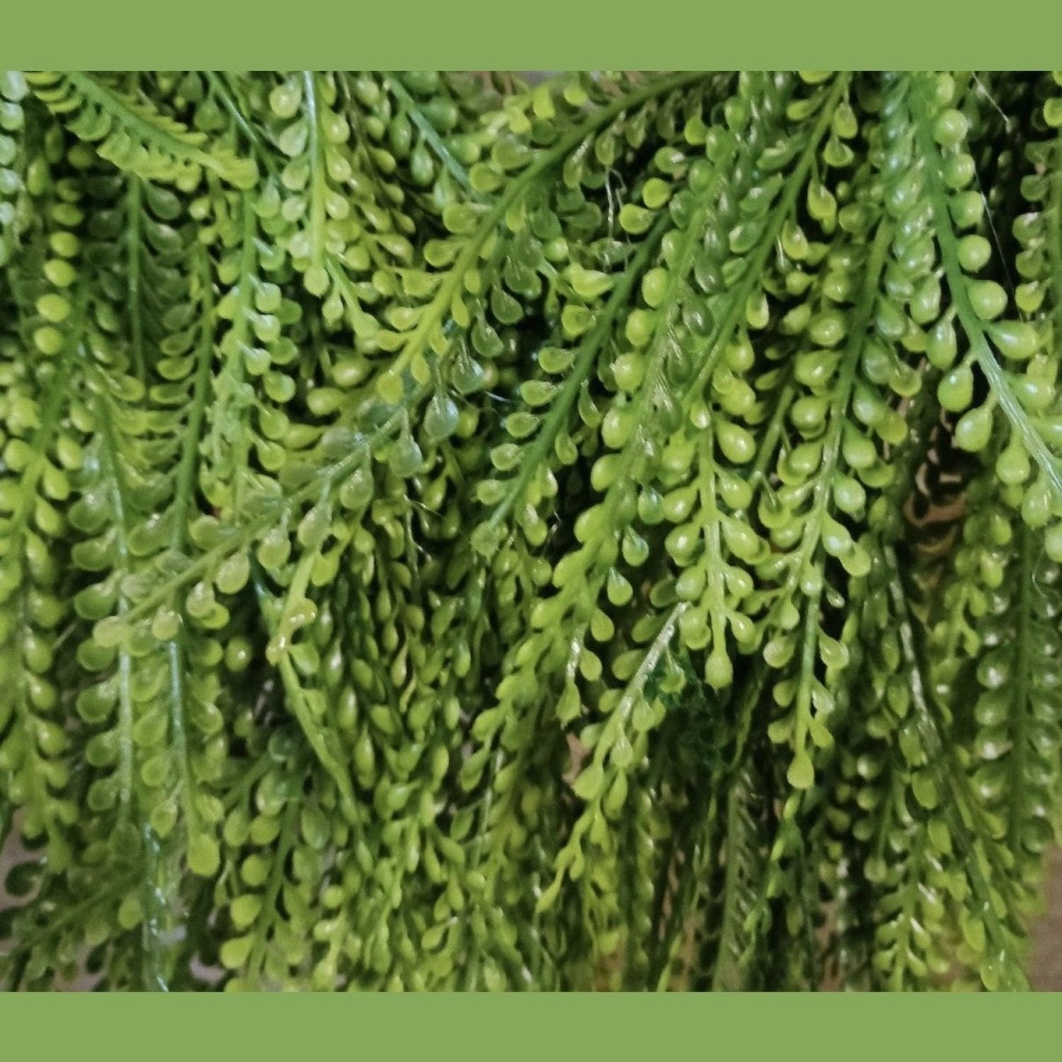 Shop For 26" Oval Draping Button Fern Wreath