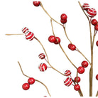 Shop For 26" Pip Berry Spray