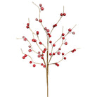 Shop For 26" Pip Berry Spray