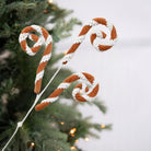 Shop For 28" Gingerbread Stripe Curly Spray