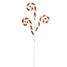 Shop For 28" Gingerbread Stripe Curly Spray