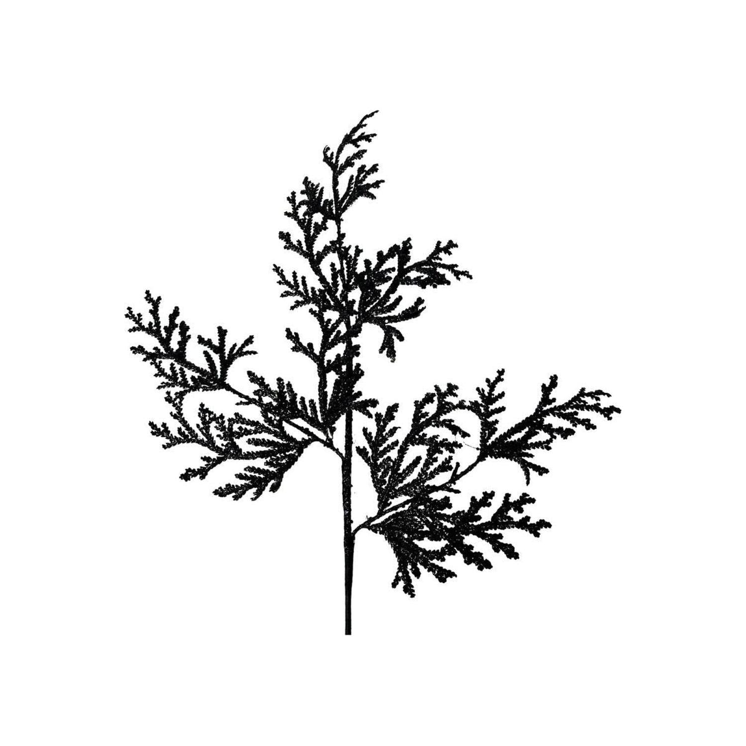 28" Glitter Lycopodium Spray: Black